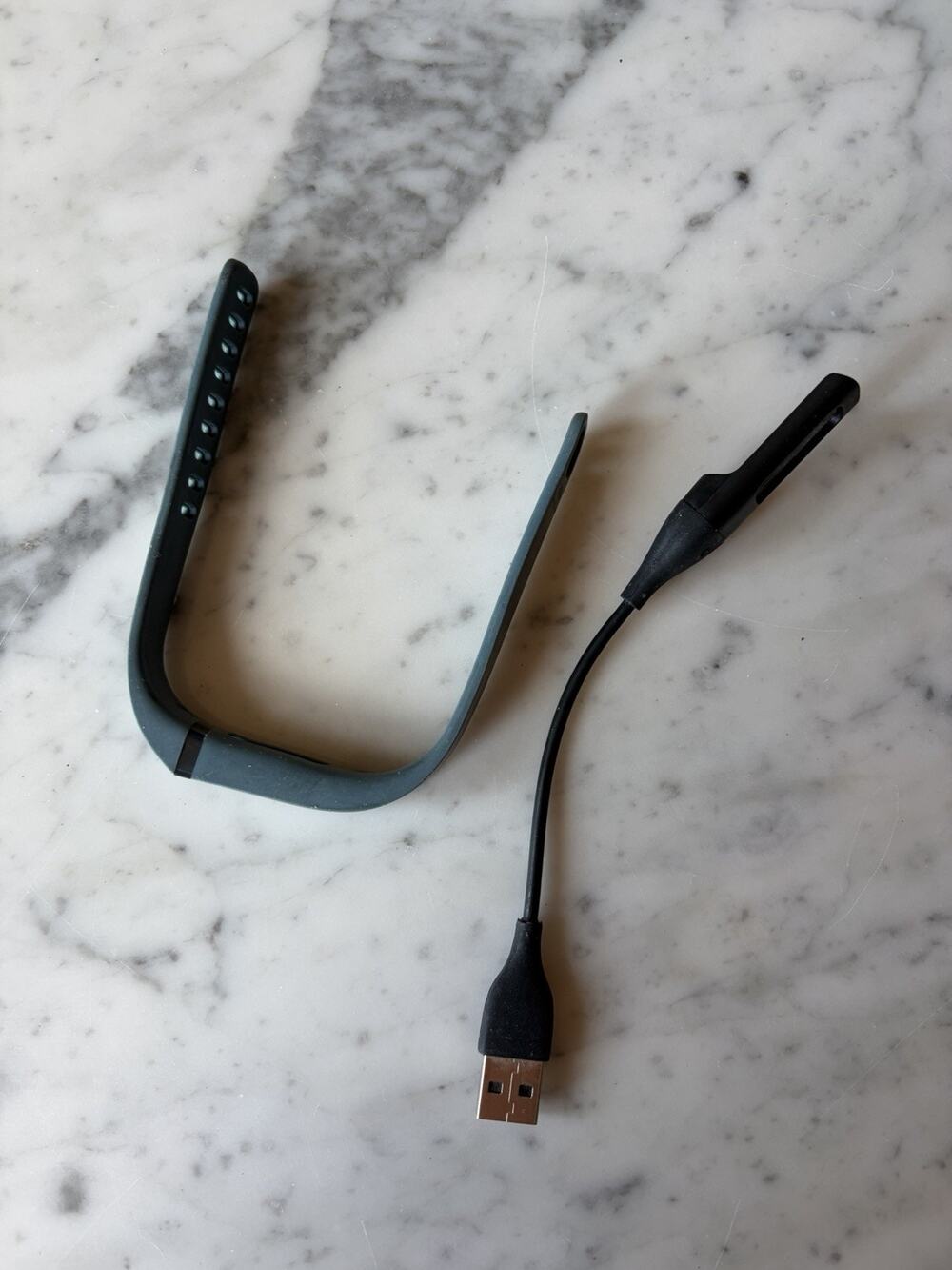 Fitbit Flex Activity Tracker Blue Wristband USB Charger Size L